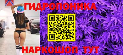дмт Тверь