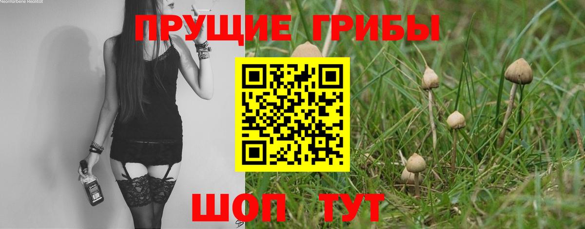 Галлюциногенные грибы ЛСД  Вход с VPN  Пыть-Ях 